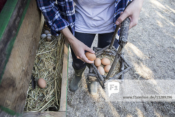 Frau sammelt Eier auf einem Bauernhof