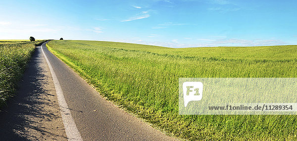 Panoramic View of Field and Road in Somerset  England  UK