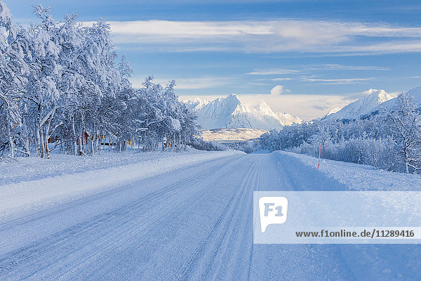 Snowy Road in Winter  Breivikeidet  Troms  Norway