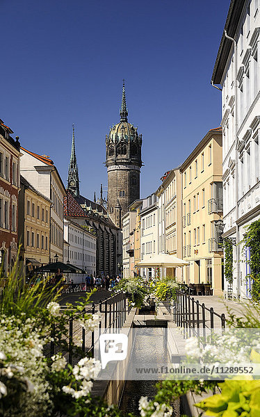 Deutschland  Lutherstadt Wittenberg  Blick auf die Schlosskirche
