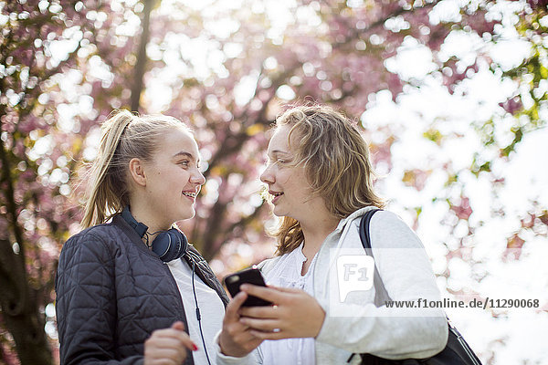 Teenage girls together