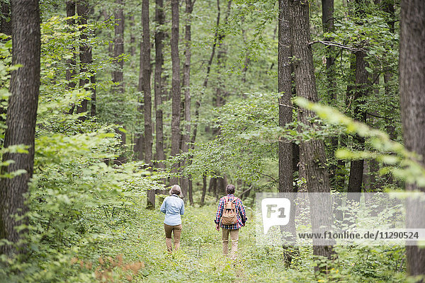 Back view of senior couple walking in the woods
