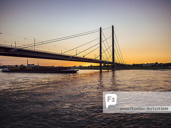 Deutschland  Düsseldorf  Blick auf Rheinknie-Brücke mit Containerschiff auf dem Rhein zur goldenen Stunde