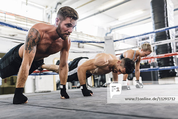 Sportler  die im Boxclub trainieren
