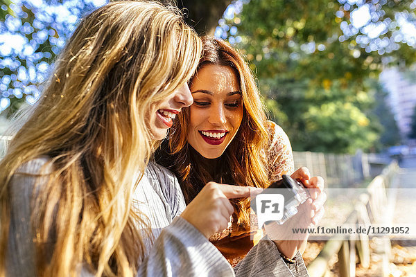 Two young women with camera in a park in autumn