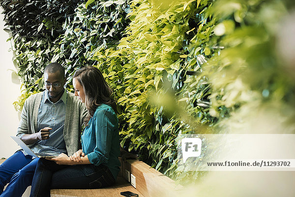 Geschäftsmann und Frau vor grüner Pflanzenwand sitzend  mit Laptop