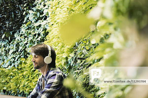 Junger Mann sitzt vor der grünen Pflanzenwand und trägt Kopfhörer.