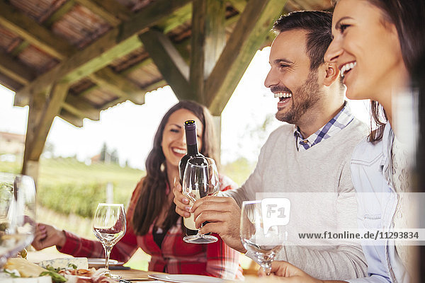 Freunde treffen sich bei Rotwein an einem Tisch im Freien.