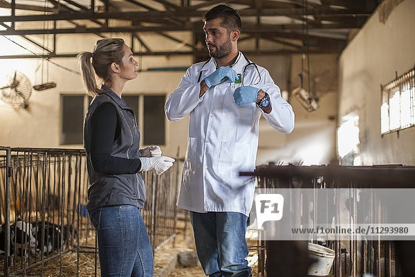 Tierarzt im Gespräch mit Frau auf dem Bauernhof