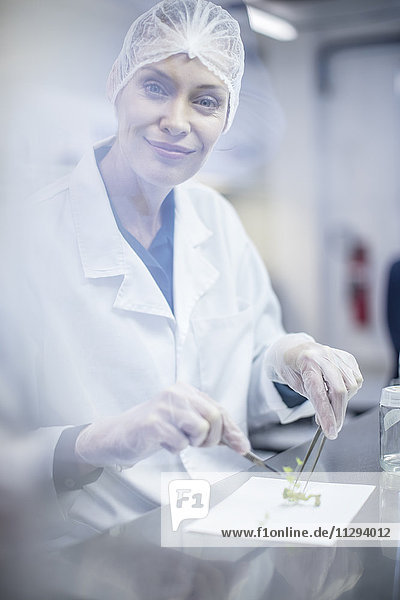 Lächelnde Frau in Schutzkleidung im Labor untersucht Pflanzenprobe