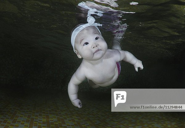 Kleinkind  sechs Monate  beim Schwimmen lernen unter Wasser  Schwimmbecken  Odessa  Ukraine  Europa