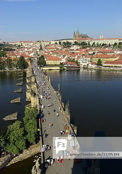 Charles Bridge over the Vltava with Prague Castle and St. Vitus Cathedral on the Hradcny  Castle District  Prague  Czech Republic  Europe