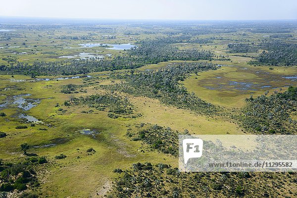 Aerial view  Okavango Delta  Botswana  Africa