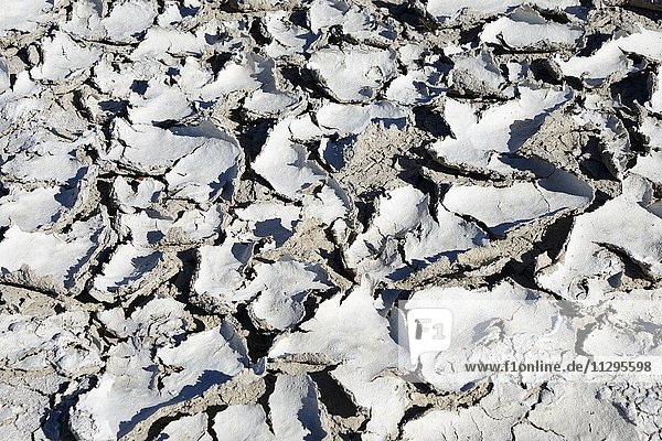 Salty crust, salt pan of Kudiakam Pan complex, Nxai Pan National Park ...