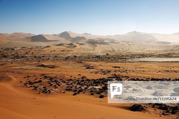 Sanddünen  Namib-Naukluft-Park  Namib-Wüste  Namibia  Afrika