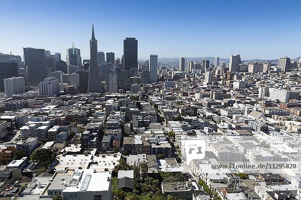 Stadtzentrum  gesehen vom Coit Tower  San Francisco  Kalifornien  USA  Nordamerika