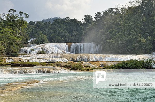Cataratas de Agua Azul  Wasserfälle des blauen Wassers  Rio Yax  Palenque  Bundesstaat Chiapas  Mexiko  Mittelamerika