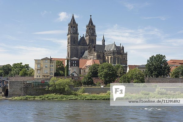 Magdeburger Dom mit Elbe  ältestes gotisches Bauwerk in Deutschland  Magdeburg  Sachsen-Anhalt  Deutschland  Europa