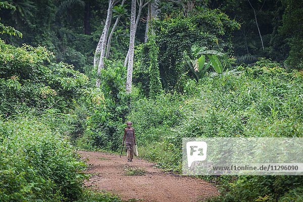 Woman walking on a dirt road  through the rainforest  Campo  Southern Region  Cameroon  Africa