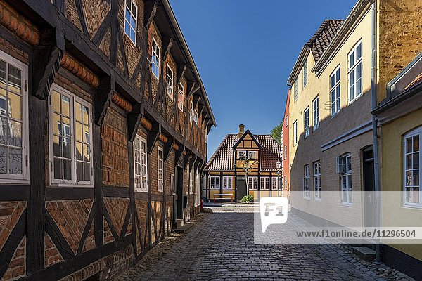 Alte Häuser in Ribe  Jütland  Dänemark  Europa