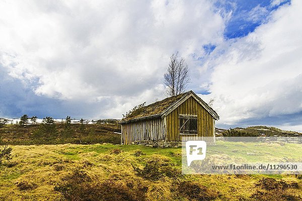 Old wooden hut with a grass roof  Utvikfjell  Byrkjelo  Utvik  Hordaland  Norway  Europe