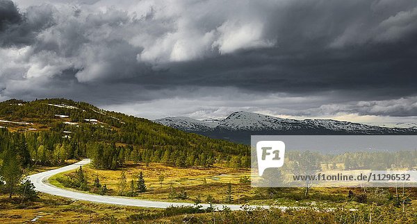 Straße durch Landschaft  dunkle Wolken  Utvikfjell  Byrkjelo  Utvik  Hordaland  Norwegen  Europa