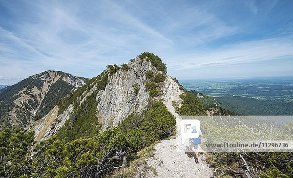 Hiker on trail  Herzogstand-Heimgarten ridge walk  Heimgarten behind  Upper Bavaria  Bavaria  Germany  Europe