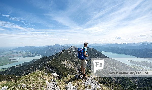 Hiker at Heimgarten  view from the top with Lake Kochel  Walchensee and Herzogstand  Upper Bavaria  Bavaria  Germany  Europe