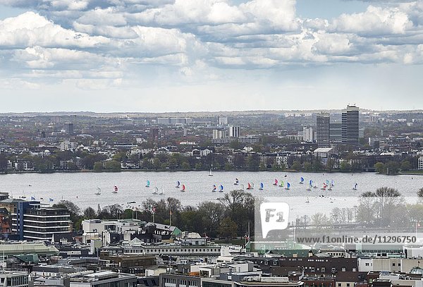 Segelboote auf der Außenalster  Ausblick vom Michel  Hamburg  Deutschland  Europa