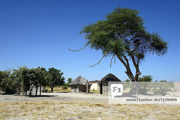 Simple thatched huts  Khwai Village  Botswana  Africa