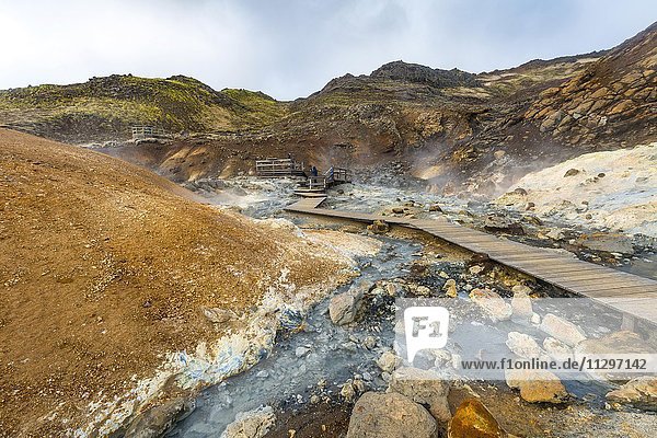 Holzsteg über dampfenden Boden  mineralische Ablagerungen  Seltún Geothermalgebiet  Vulkansystem Krýsuvík  Landschaftsschutzgebiet Reykjanesfólkvangur  Island  Europa