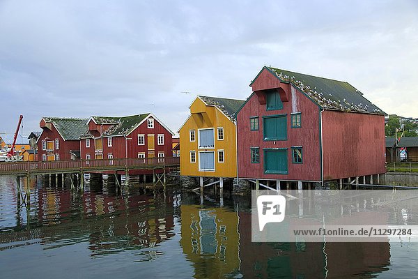 Traditionelle Hafengebäude  Fischerdorf Rorvik  Norwegen  Europa