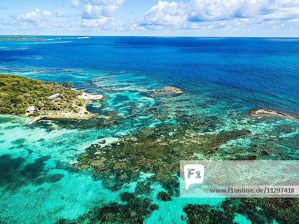 Korallenriff vor Great Bird Island  Antigua  Westindische Inseln  Karibik  Antigua und Barbuda  Nordamerika