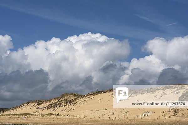 Dünen mit Haufenwolken (Cumulus)  Atlantikküste  La Tranche sur Mer  Vandée  Frankreich  Europa