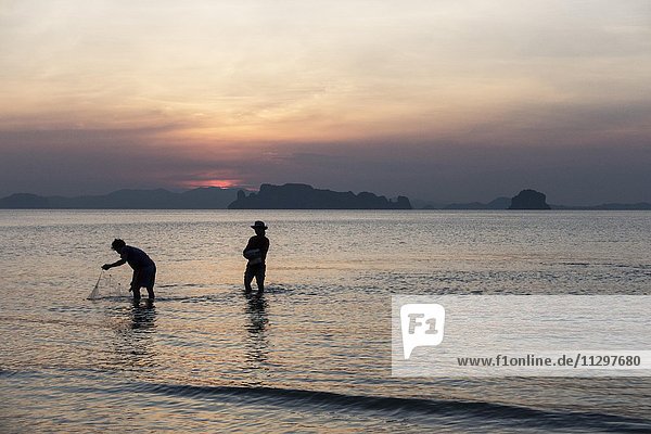 Fischer fischen mit Netz bei Sonnenuntergang  Tubkaek Beach  Krabi  Thailand  Asien