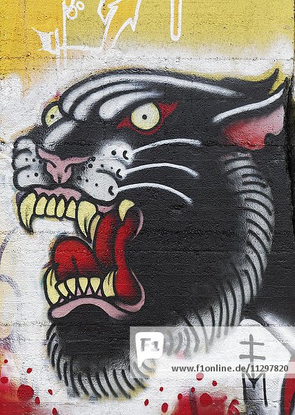 Panther with mouth open  graffiti  street art  Duisburg  North Rhine-Westphalia  Germany  Europe