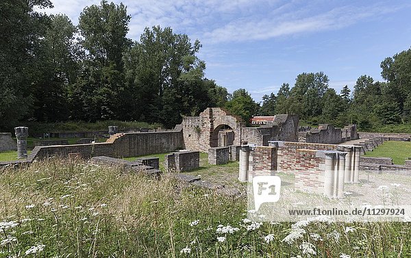 Ruins of the Abbey of the Dunes  a former Cistercian monastery  Koksijde  West Flanders  Belgium  Europe