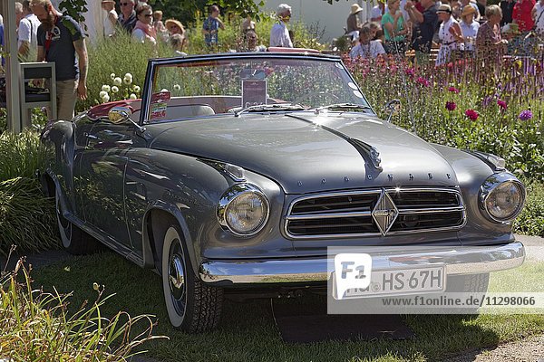 Borgward Isabella Cabrio von 1960  Oldtimer  Classic Days Dyck 2016  Jüchen  Niederrhein  Nordrhein-Westfalen  Deutschland  Europa