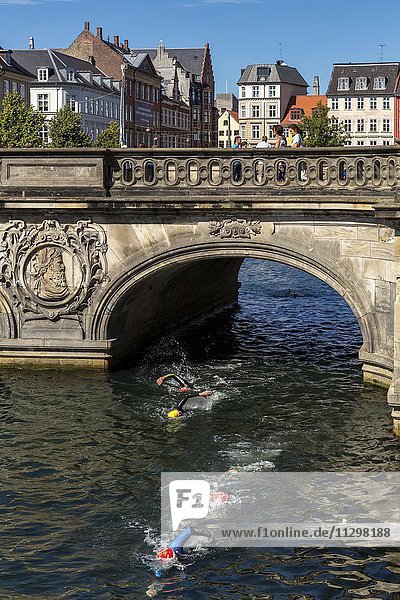 2-km Schwimm-Event durch die Kanäle  Christians Rundt  Schwimmer unter der Marmorbrücke  Slotsholmen  Kopenhagen  Dänemark  Europa