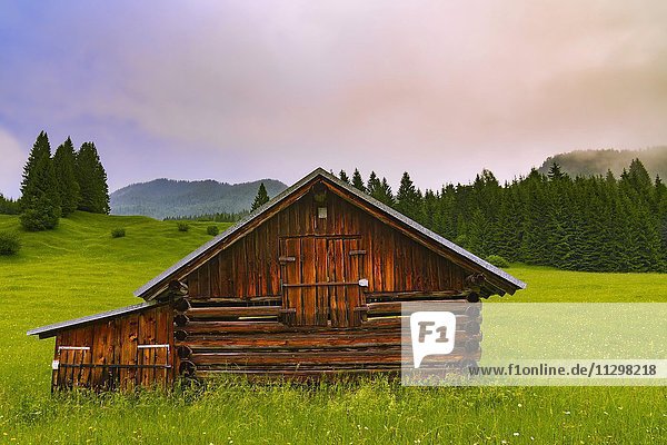 Almwiese mit Hütte  bei Garmisch-Partenkirchen  Bayern  Oberbayern  Deutschland  Europa