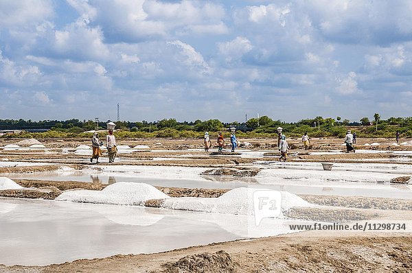 Salinenarbeiter  Arbeiter  Wasserbecken zur Salzgewinnung  Saline bei Thazhankadu  Tamil Nadu  Indien  Asien