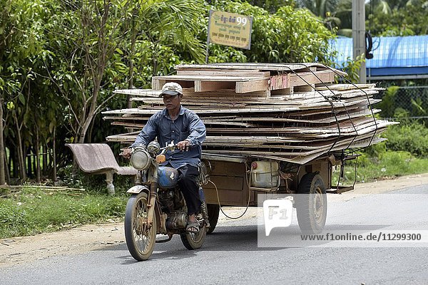 Mann mit Moped und Anhänger transportiert große Holzplatten  Phnom Penh  Kambodscha  Asien