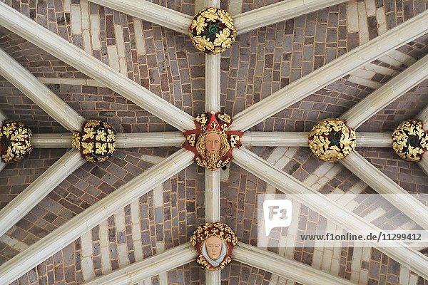 Verziertes Fächergewölbe  Langhaus  Kathedrale St. Peter  Exeter  Detail  Devon  England  Vereinigtes Königreich