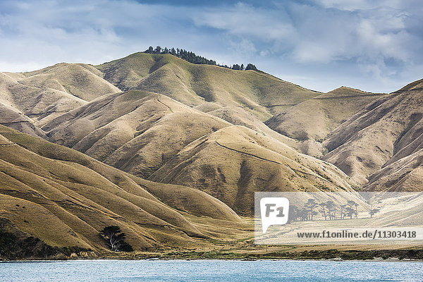 Trockene Berge Marlborough Sounds Südinsel Neuseeland