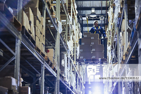 Arbeiter  der einen Gabelstapler bedient und Kartons in den Regalen eines Auslieferungslagers stapelt