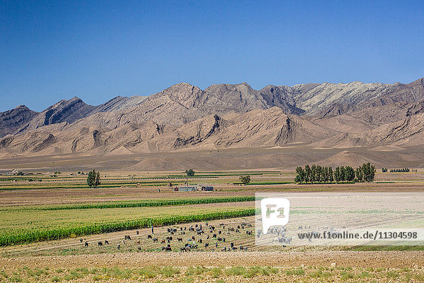 Iran  Landscape near Sarvestan City