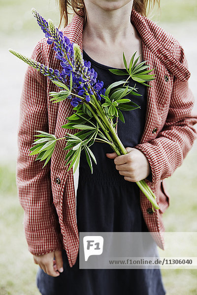 Girl holding lupine flower