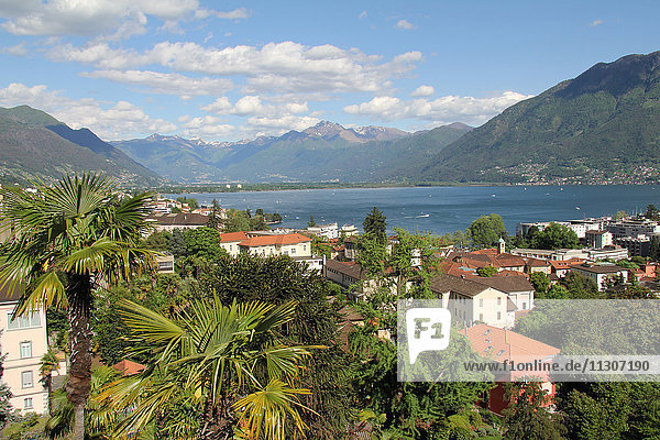 Switzerland  Europe  Ticino  Locarno  Lago Maggiore  lake