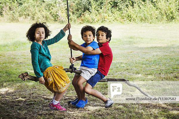 Two boys and a girl sitting on a tree swing.