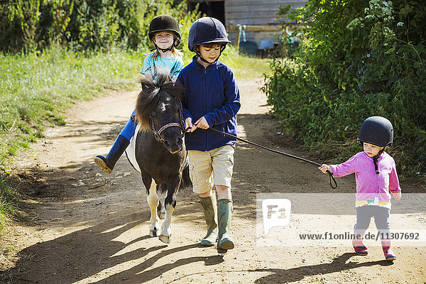 Ein Junge  ein Kleinkind und ein Mädchen reiten auf einem Pony auf einem Feldweg.